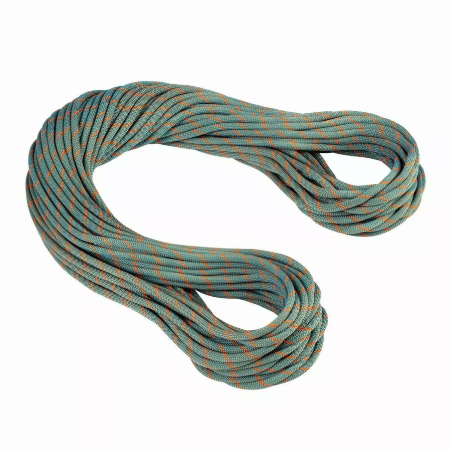 Ropes & Cordage * | Mammut 9.9 Crag Workhorse Dry Rope