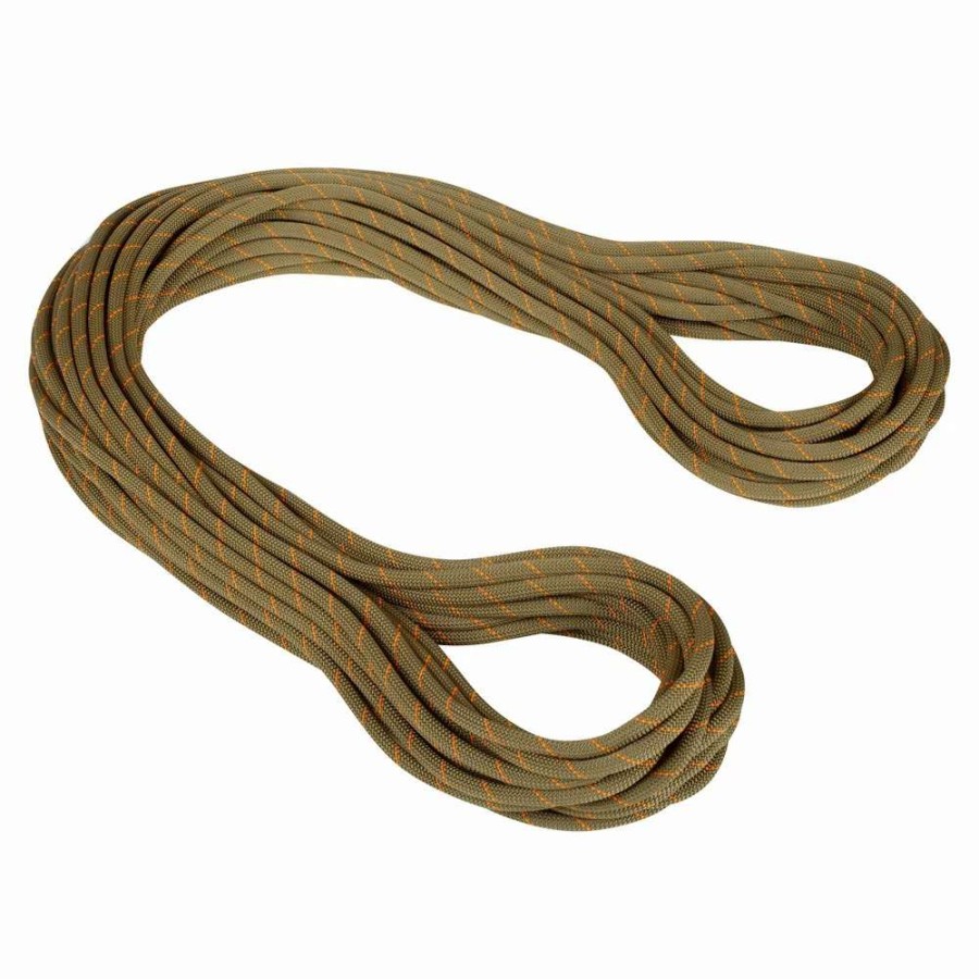 Ropes & Cordage * | Mammut 9.9 Gym Workhorse Classic Rope Boa