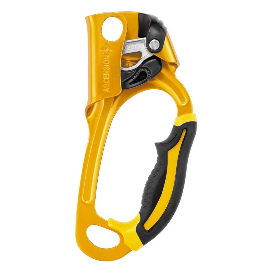 Protection & Hardware * | Petzl Ascension Right