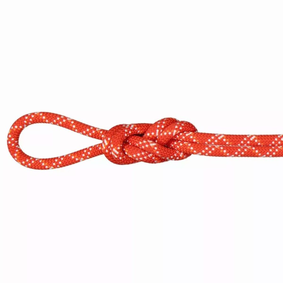 Ropes & Cordage * | Mammut 9.5 Gym Classic Rope